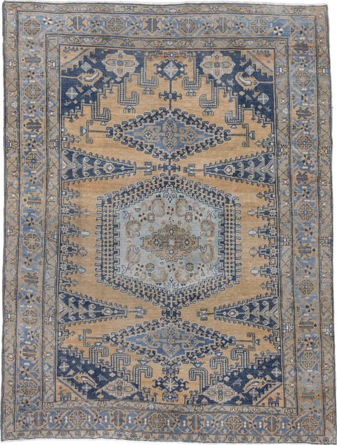Antique Veece Area Rug (7' x 10')